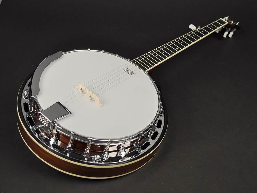Cours de banjo 1